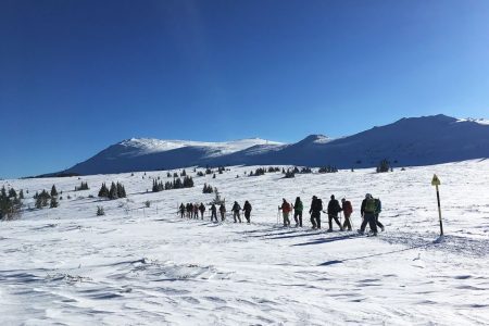 Sofia: Black Peak-Vitosha Mountain Snowshoeing Day Trip