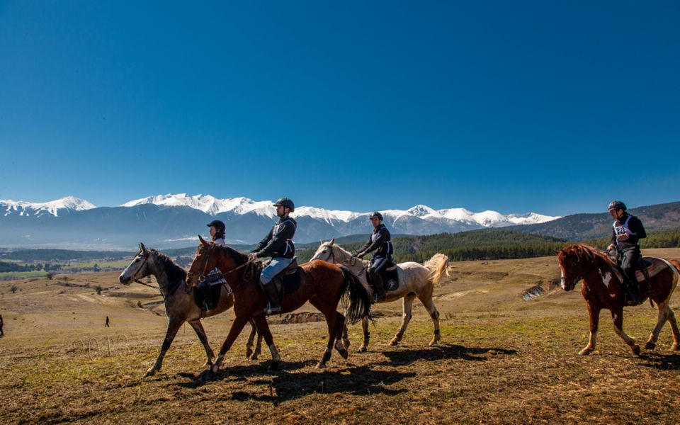 From Bansko: Horse Riding Experience